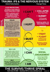 Survive Thrive Spiral