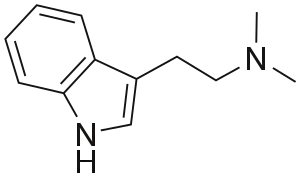 DMT