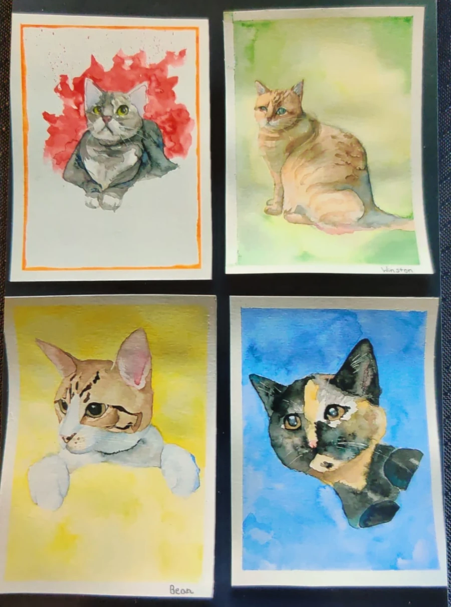 cat quartet